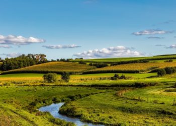 Naig Announces $2.6 Million in Awards for Soil Health & Water Quality Projects