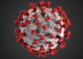 Iowa Department of Public Health Confirms UK COVID-19 Variant in Iowa