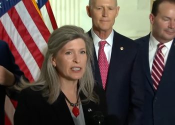 Ernst: ‘I Am Here to Pledge My Uneqivocal Support to Israel’