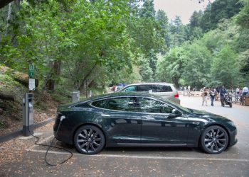 Reynolds Calls Biden’s Electric Car Goal ‘Short-Sighted’