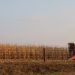 USDA Provides Iowa with $500,000 Grant to Support Farmers’ Mental Health