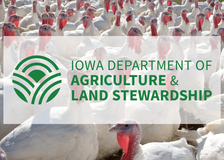 Highly Pathogenic Avian Influenza detected in commercial turkey flock in Buena Vista County