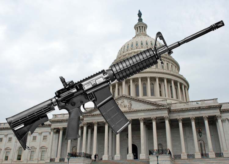 A divided U.S. House passes ‘Assault Weapons Ban’ 2.0