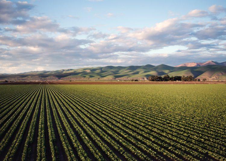 photo of green field near mountains