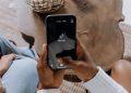 person holding black android smartphone