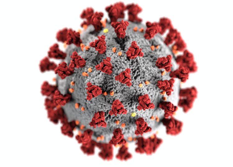 coronavirus