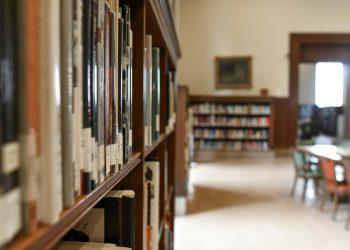 selective focus photography of bookshelf with books