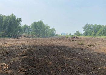 Iowa farmer challenges constitutionality of ‘Swampbuster’ Law