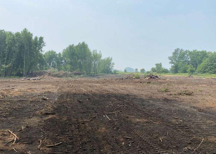 Iowa farmer challenges constitutionality of ‘Swampbuster’ Law